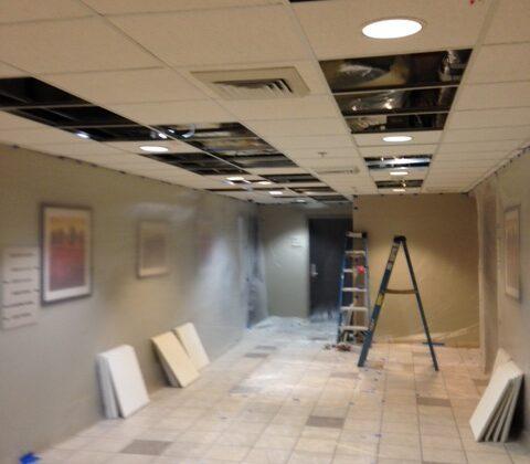 Air Duct Mold Removal in Mandeville, LA, Covington, LA, New Orleans and Nearby Cities