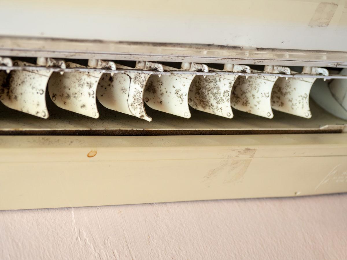 closeup of vents that require Air Duct Mold Removal in Madison, MS