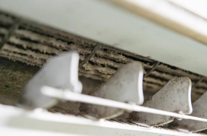 Air Duct Mold Removal in Orange Beach, AL