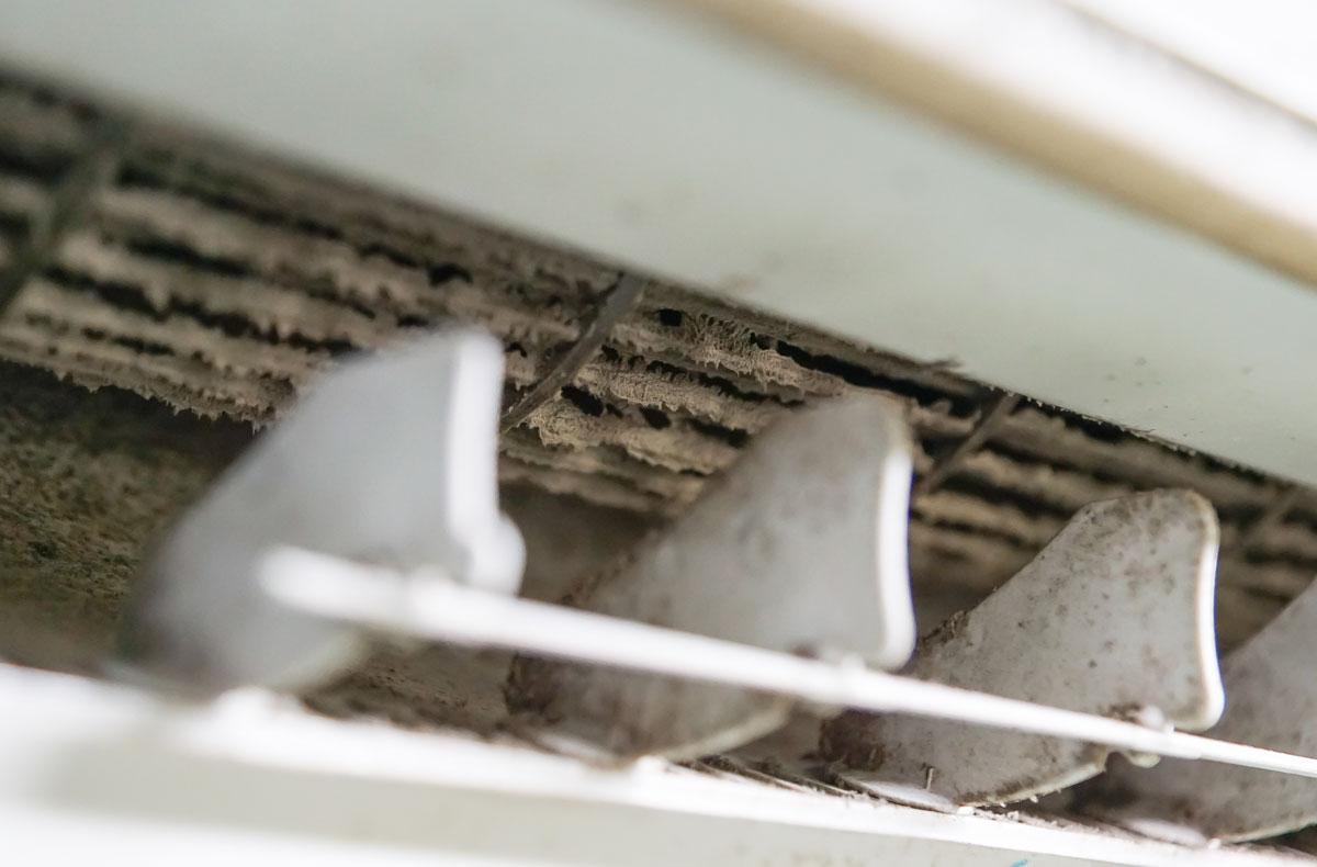 closeup of a dirty vent that needs Air Duct Mold Removal in Orange Beach, AL